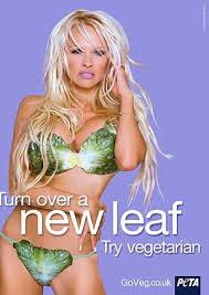 Image � PETA TV
