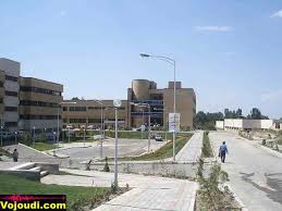 دانشگاه علامه تصوير با اندازه اصلي