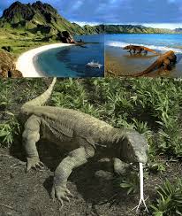 Ayo Dukung Pulau Komodo!!( Menjadi 7 Keajaiban Dunia yang Baru)