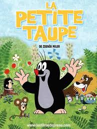 Afficher l'image en taille réelle