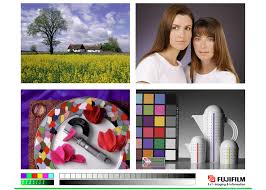 Color Test Image for the