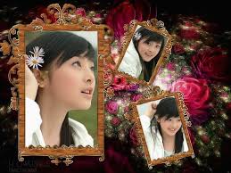 Picget Photoshine 33 Full Version