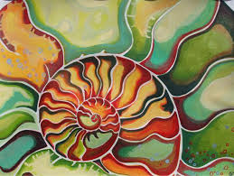 nautilus fossils