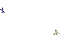 animated gif butterflies
