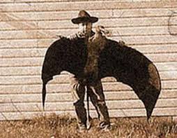 giant birds