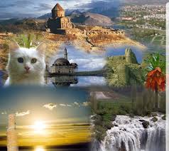 Y�relerimiz K�lt�rlerimiz ( Van )