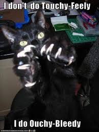 mean kitty