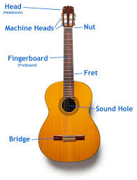instrument guitar