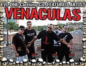  musical groups 