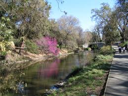 File:Arboretum, UC Davis.jpg