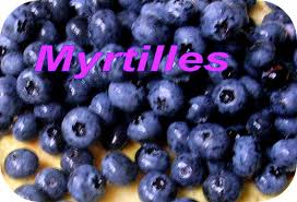 Myrtilles_DC_t.800.jpg