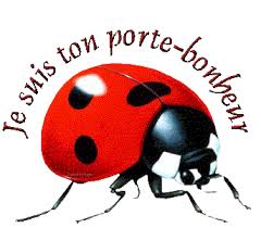 http://t2.gstatic.com/images?q=tbn:UhBWeyQ03cP8nM:http://dc27.4shared.com/download/21776488/feed972e/je_suis_ton_porte_b