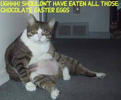 funny screensavers