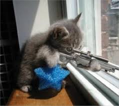 chat