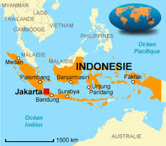http://t2.gstatic.com/images?q=tbn:V4qitiN1iDhfcM:http://www.bourse-des-voyages.com/com/images/cartes/carte-indonesie.gif
