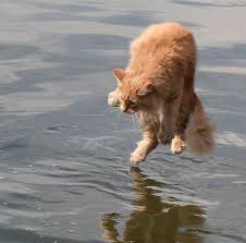 walking on water