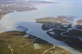 Baie de somme