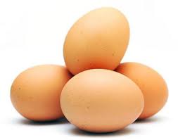 http://t2.gstatic.com/images?q=tbn:VeuCMau3V7Eq3M:http://blogajim.files.wordpress.com/2009/08/1107250_eggs1.jpg
