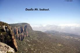 daalo