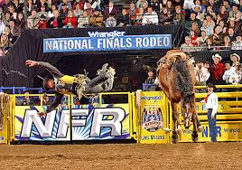 NASCAR \x26amp; NFR Rodeo will