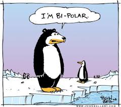 Bi-Polar