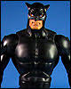 Picture of Wildcat