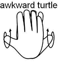 Screw the Awkward Turtle,