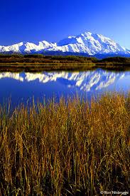 denali national park