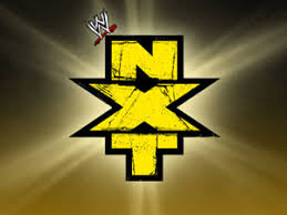 اسئلة و استفسارات حول المصارعة الحرة ادخل و ساجيبك WWE_NXT_Logo