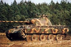 panther tiger