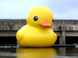 ducky