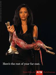 Persia White