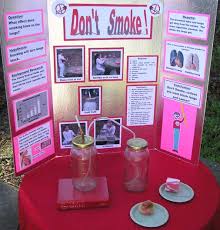 science fair project