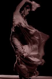 flamenco.jpg