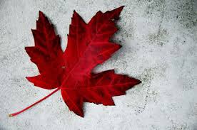 Happy Canada Day!