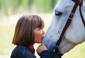 western horse riding