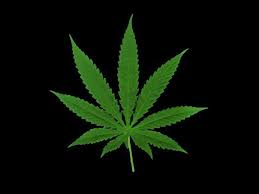 ganja Daftar Artis Kasus Narkoba Bertambah