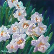 narcissus flowers