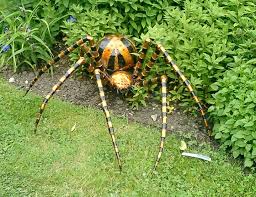 brown jumping spiders
