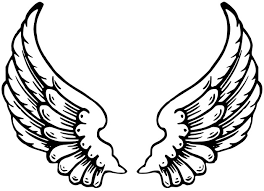 angel wings photo