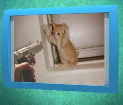 funny screensavers