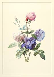 redoute