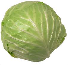 أسماء الخضر بالانجليزي Cabbage