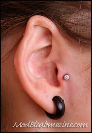 tragus piercing