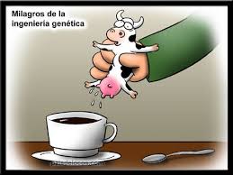 cafe%con%leche