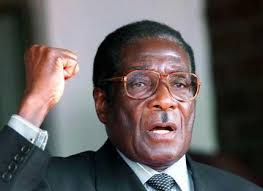 The terror of Zimbabwe