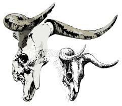 bull skull clip art