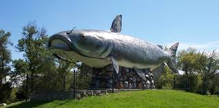 largest catfish pictures