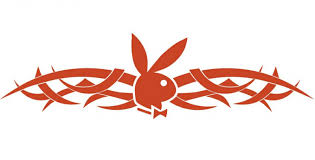 tribal car graphics