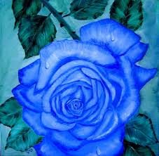 blue rose